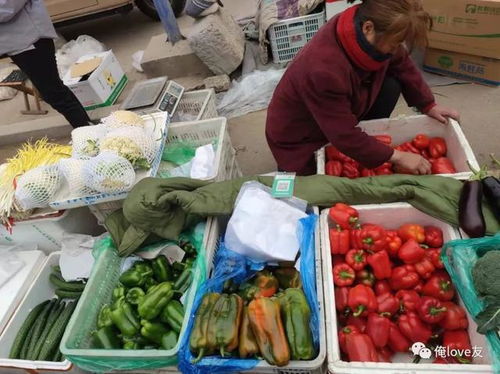 趕黃河大集，尋濟南年味——萊蕪魯西大集值得一逛